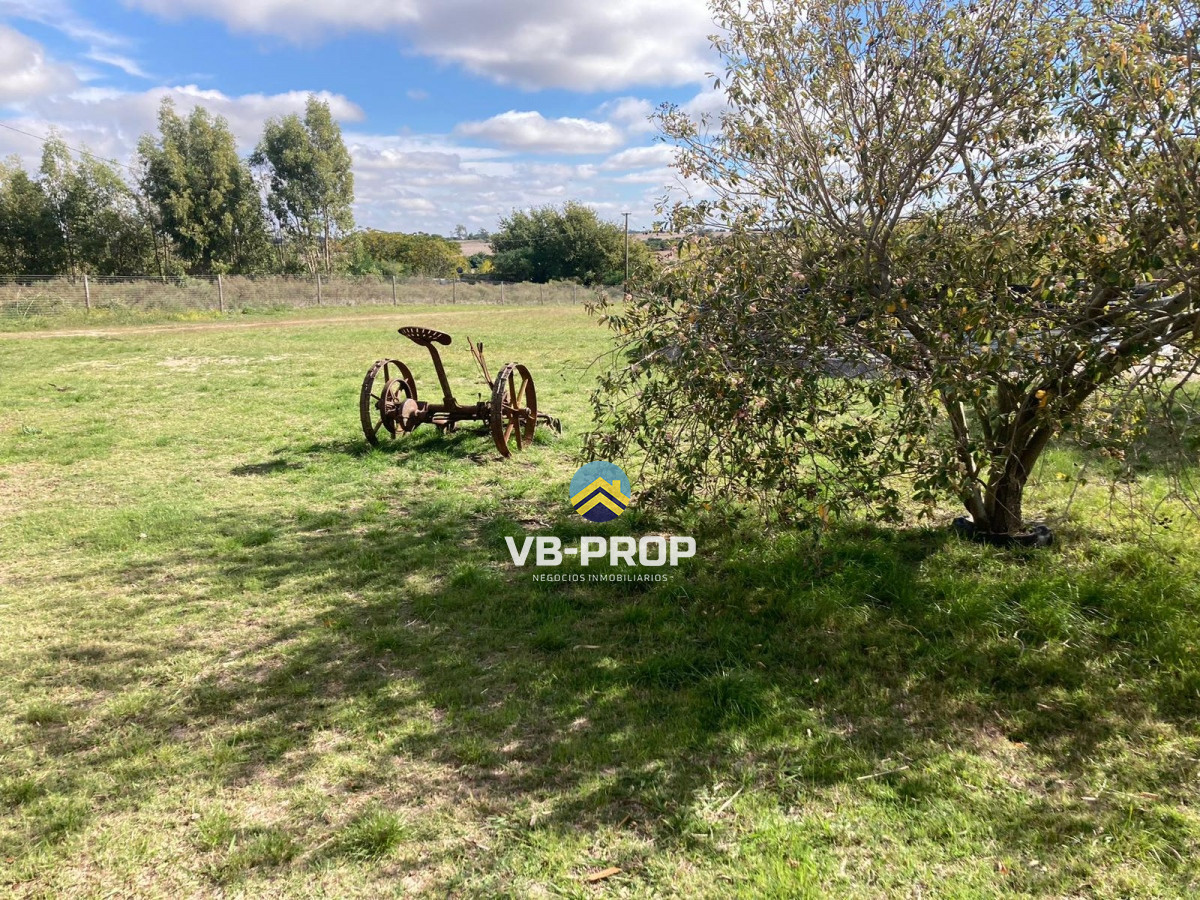 Chacra ID.260 - Venta chacra Colonia del Sacramento Riachuelo casa 