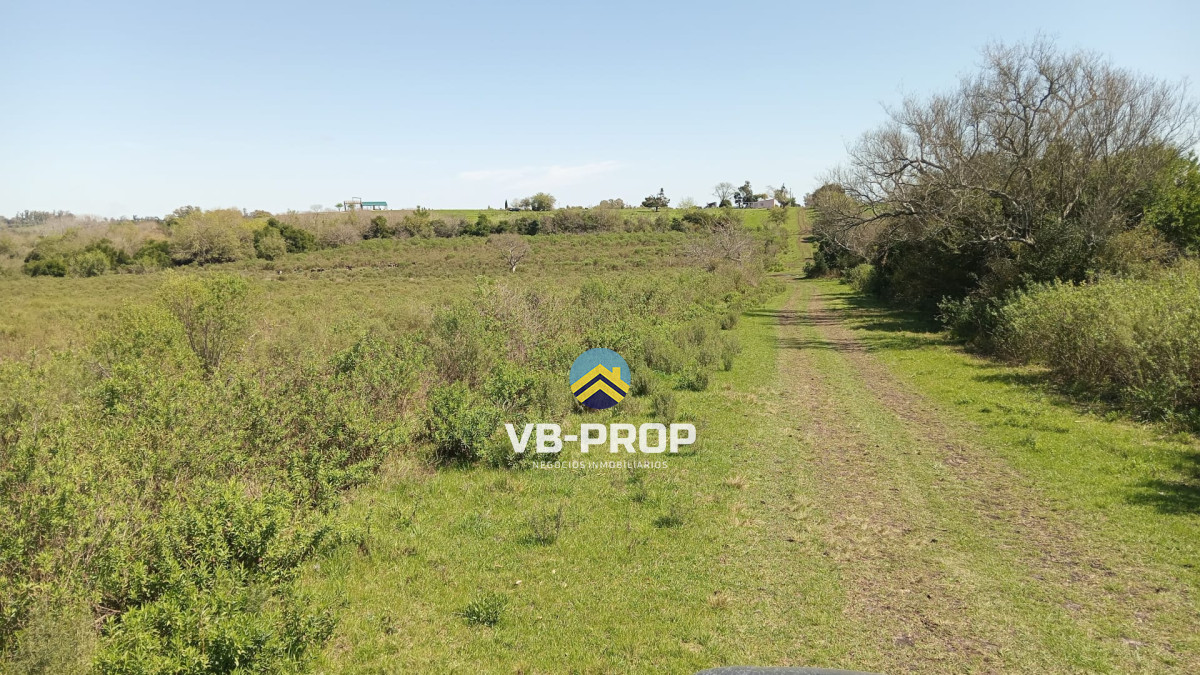Chacra ID.120 - Venta Chacra Paysandú Golf Ruta 90 Ruta 3 Campo 