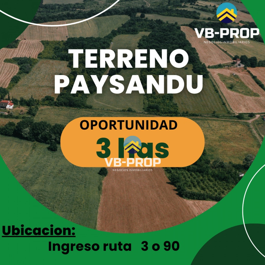 Chacra ID.120 - Venta Chacra Paysandú Golf Ruta 90 Ruta 3 Campo 