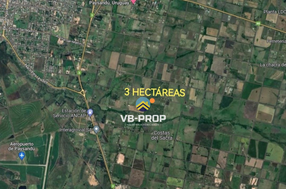 Chacra ID.120 - Venta Chacra Paysandú Golf Ruta 90 Ruta 3 Campo 
