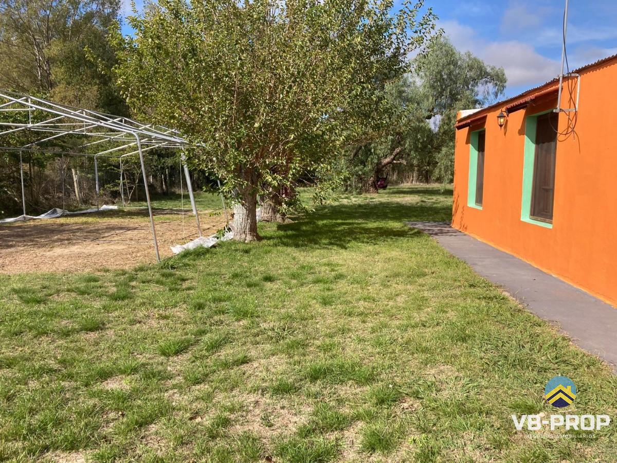 Chacra ID.260 - Venta chacra Colonia del Sacramento Riachuelo 