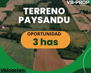 Venta Chacra Paysandú Golf Ruta 90 Ruta 3 Campo