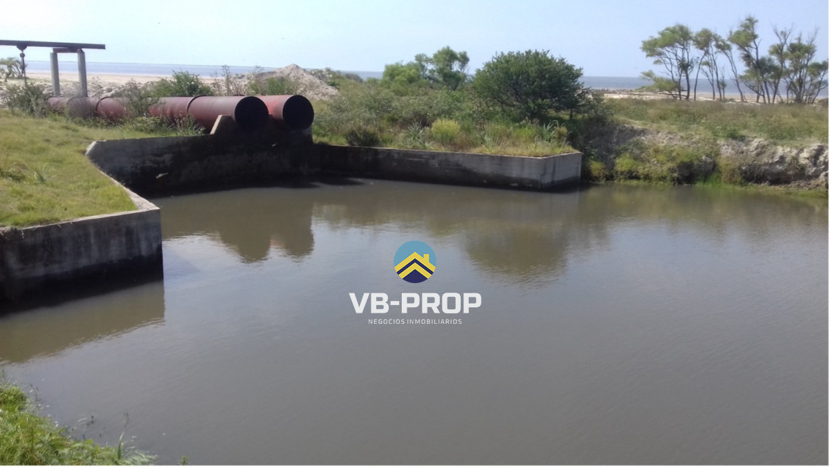 Campo Ref.485 - Campo En Venta En Rocha, Arrocero Y Ganadero, Laguna Merín