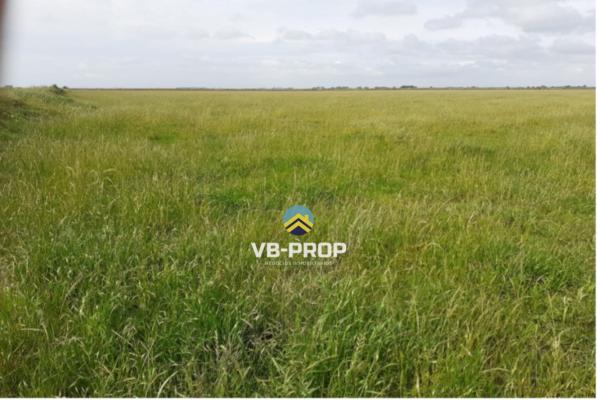 Campo Ref.485 - Campo En Venta En Rocha, Arrocero Y Ganadero, Laguna Merín