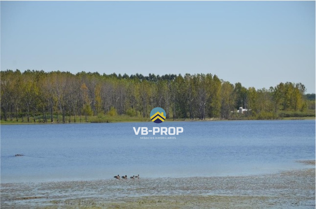 Campo Ref.486 - Venta campo Paysandu Quebracho - frutícola - forestal - ganadero