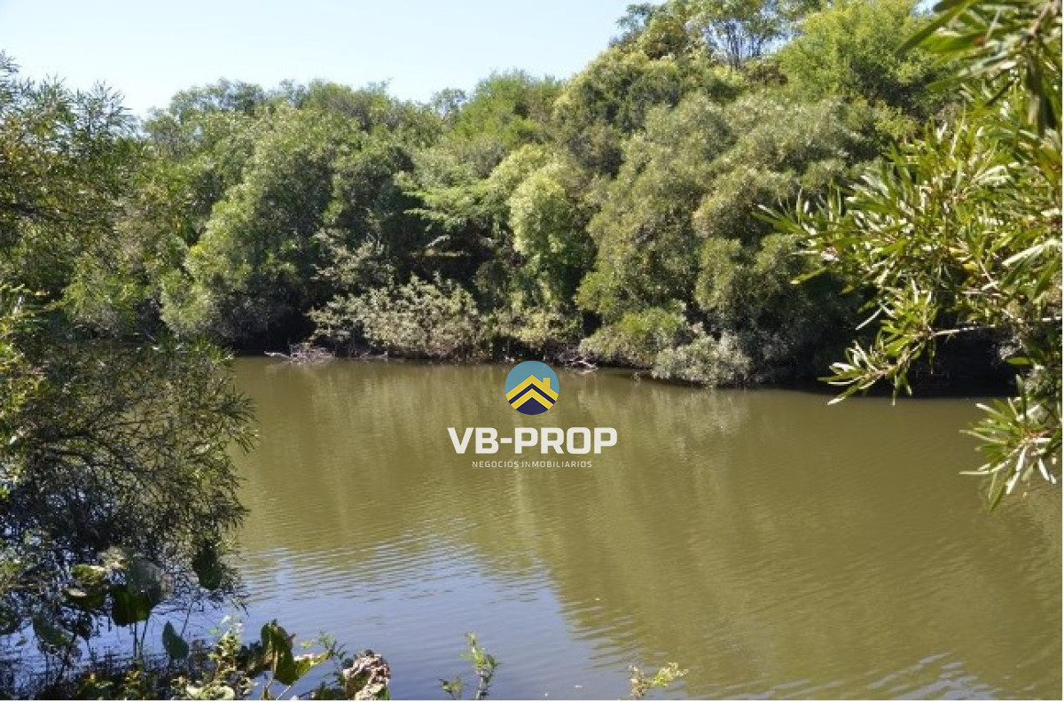 Campo Ref.486 - Venta campo Paysandu Quebracho - frutícola - forestal - ganadero