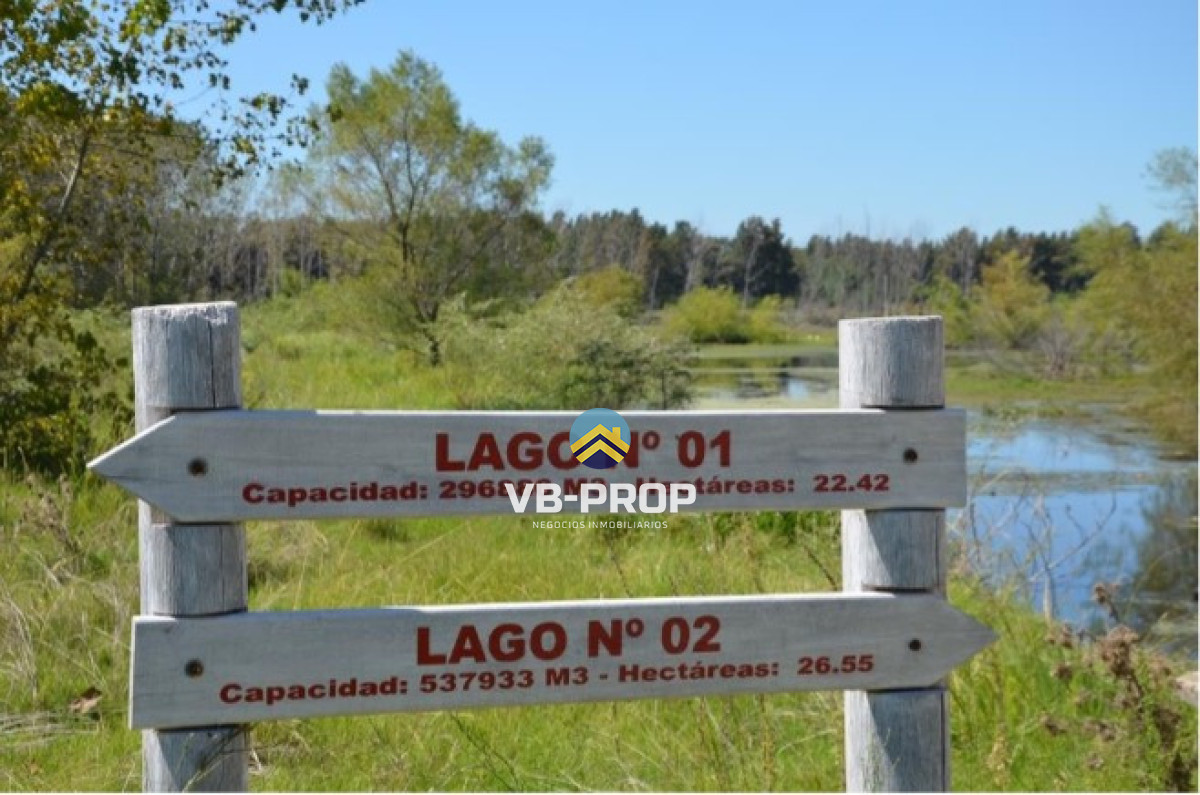 Campo Ref.486 - Venta campo Paysandu Quebracho - frutícola - forestal - ganadero
