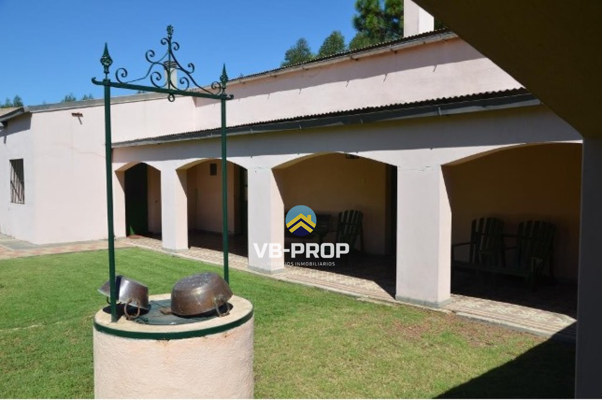 Campo Ref.486 - Venta campo Paysandu Quebracho - frutícola - forestal - ganadero