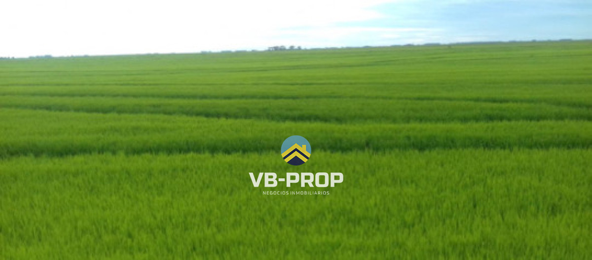 Campo Ref.485 - Campo En Venta En Rocha, Arrocero Y Ganadero, Laguna Merín
