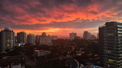 Hermoso departamento en Venta Brava Primera Línea