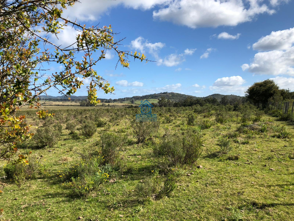 Campo Ref.97 - Hermoso Campo para Fraccionamiento