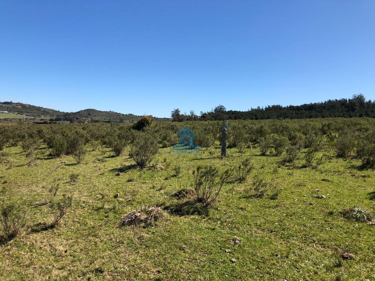 Campo Ref.97 - Hermoso Campo para Fraccionamiento