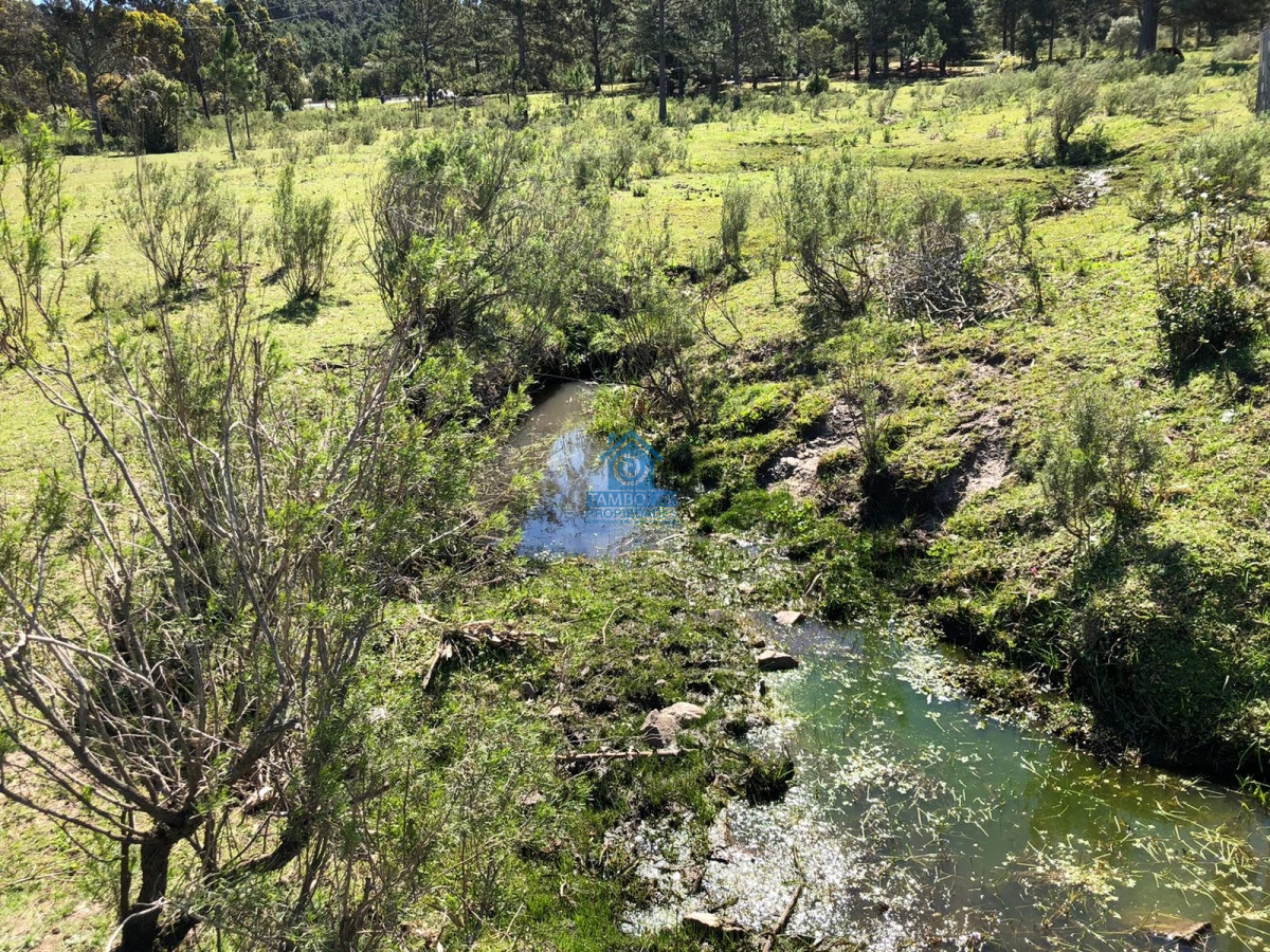 Campo Ref.97 - Hermoso Campo para Fraccionamiento