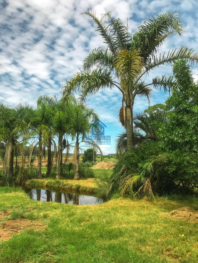 Terreno ID.3 - Barrio Los Guayabos Venta Lotes 