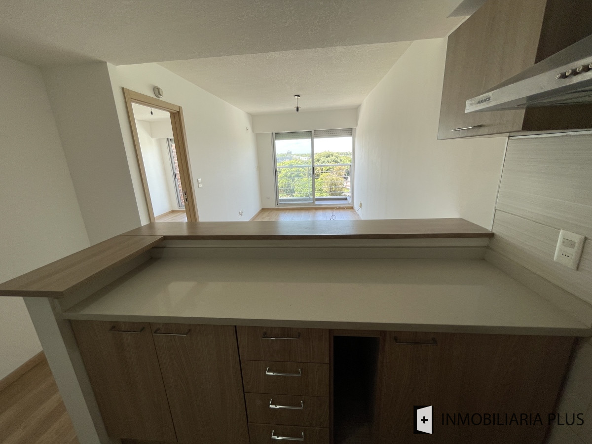 Apartamento ID.1035 - Venta de Apartamento de 1 Dormitorio como nuevo con barbacoa en Larrañaga 