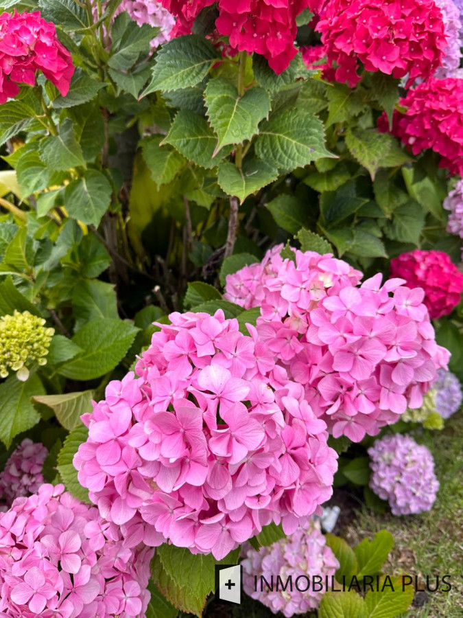 Casa ID.1384 - Alquiler de Casa con 3 Dormitorios, 2 Baños, barbacoa, garaje a pasos de playa mansa de Punta del Este 