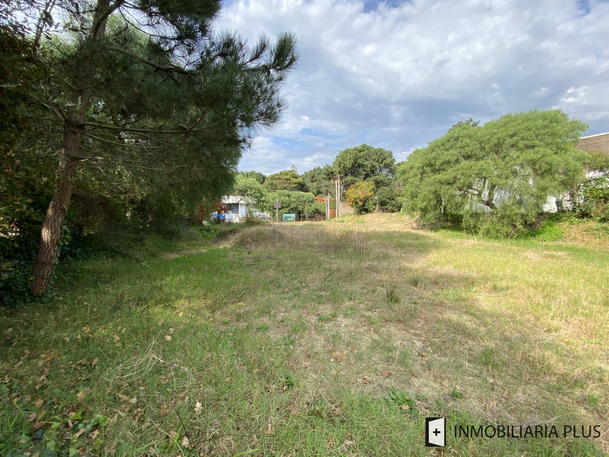 Terreno ID.456 - Venta de TERRENO listo para construir 728 m2 en Jardines de Córdoba Punta del Este Maldonado