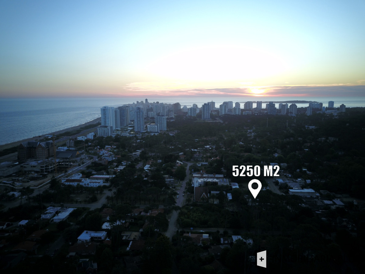 Terreno ID.1491 - Terreno de 5250 m2 con 140 metros de frente (Toda la cuadra) y 37,5 de Profundidad en San Rafael Maldonado