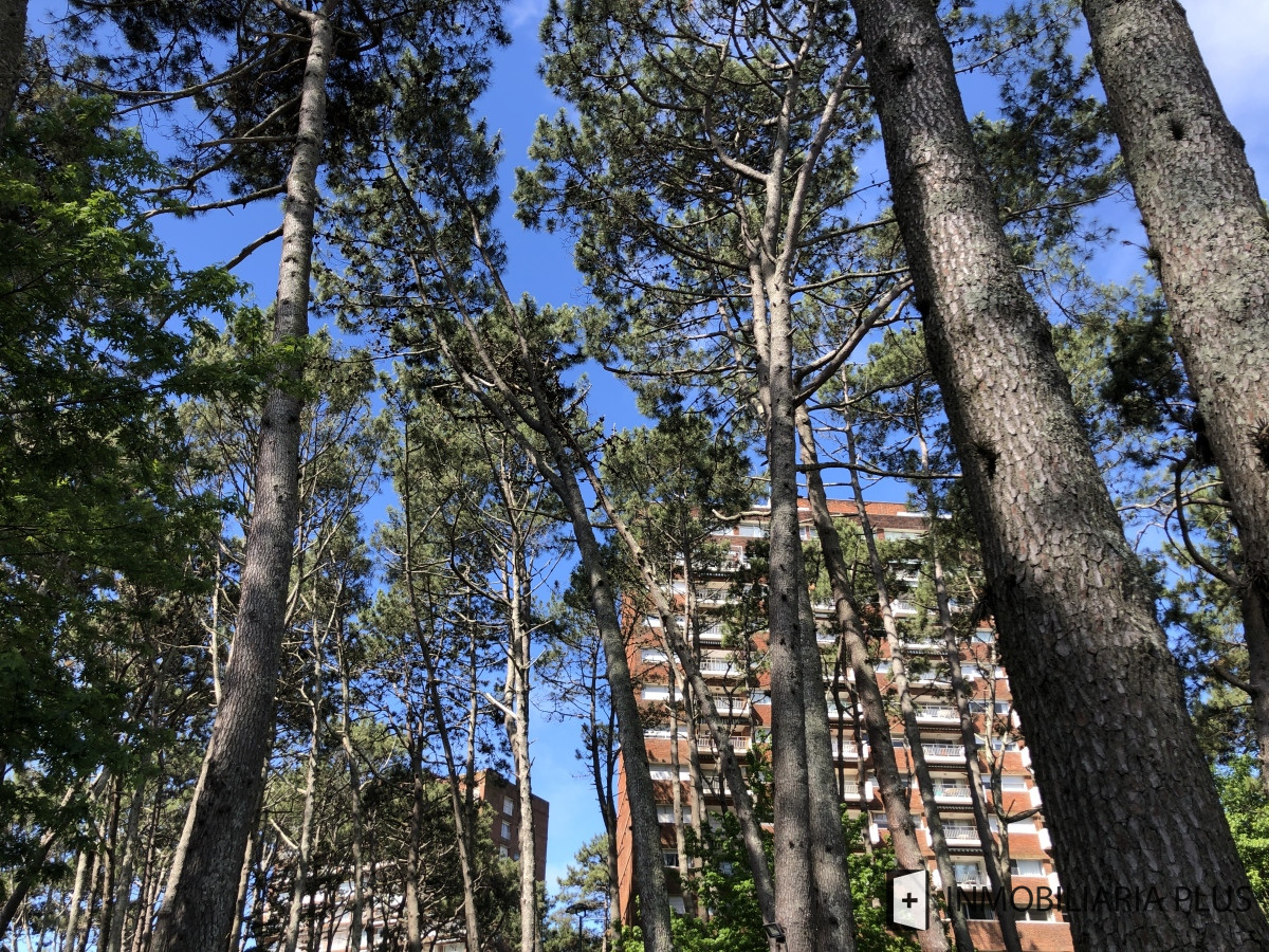 Apartamento ID.1023 - Apartamento en Venta de 1 Dormitorio con cochera en Arcobaleno de Punta del Este