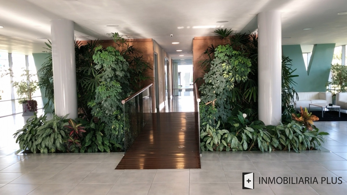Apartamento ID.96 - Apartamento 2 Dormitorios A Pasos De Los Dedos de Punta del Este Con Piscina Climatizada, Parrillero Privado Todos Los Servicios C797
