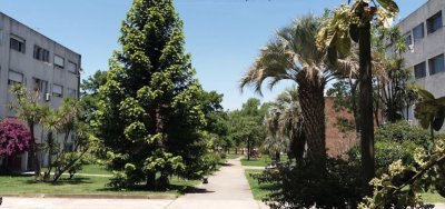  Apartamento en Venta de 3 Dormitorios con renta a pasos del Antel Arena en Villa Española Montevideo