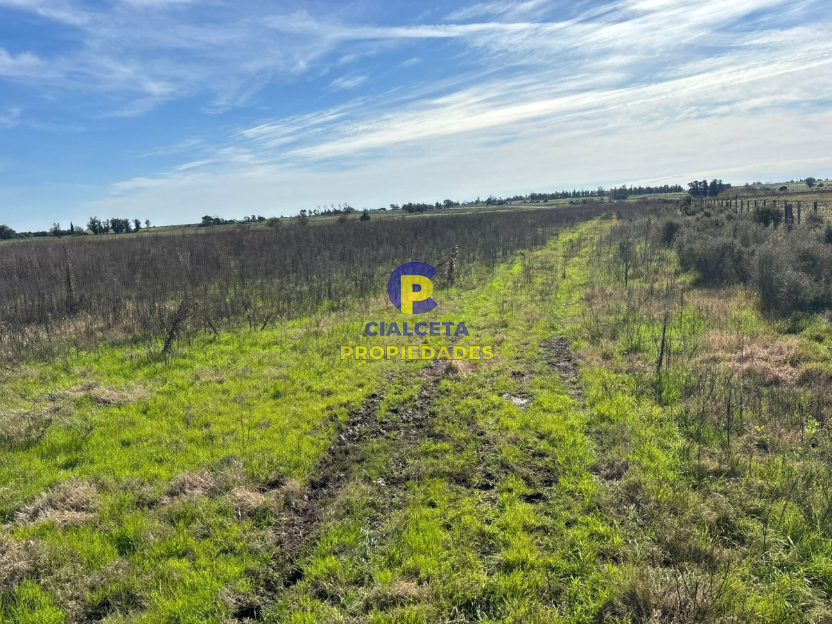 3 hectáreas en Canelones, sobre camino