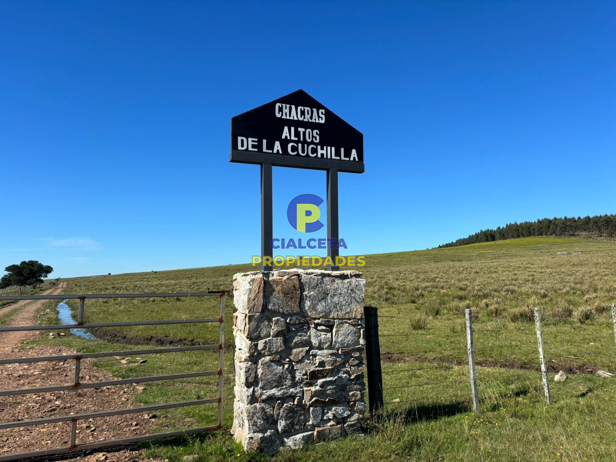 Chacra ID.422 - 5 hectáreas en Lavalleja, entrega 18.000 dólares y saldo financiado