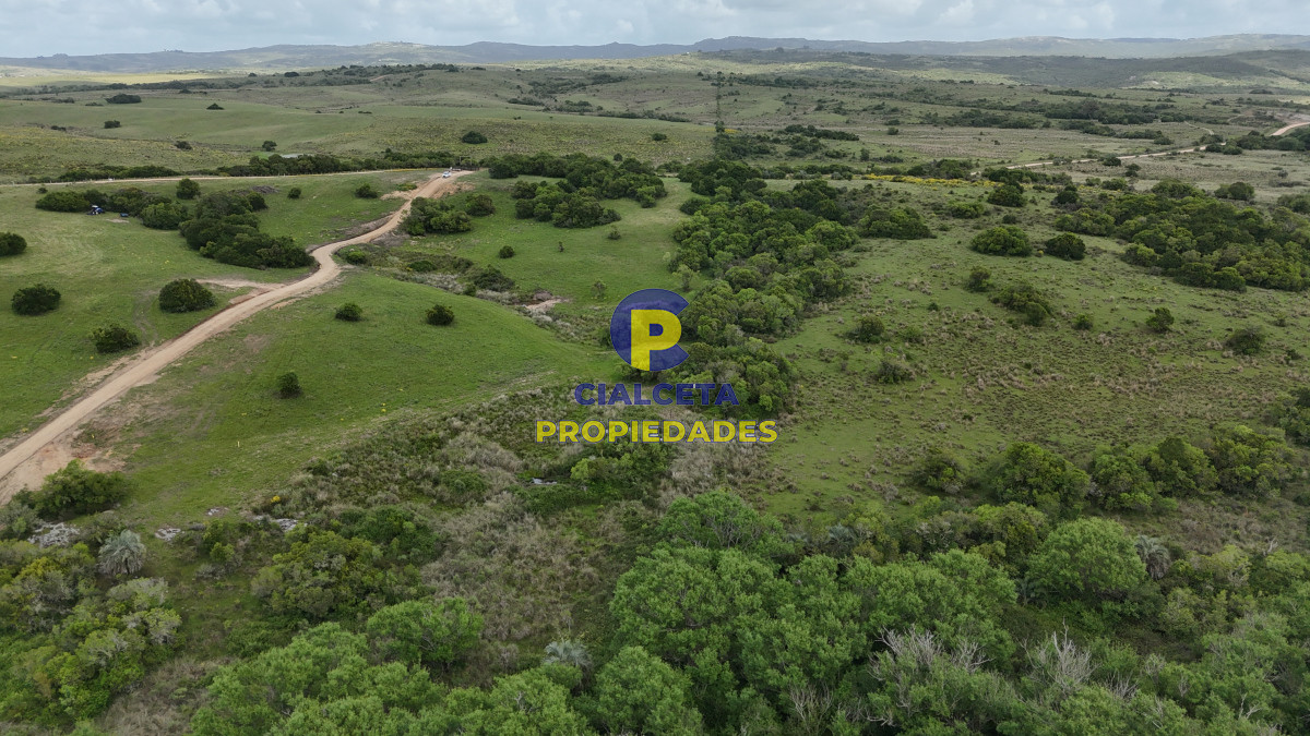 Chacra ID.560 - 4 hectáreas con 6.600 metros con monte y arroyo