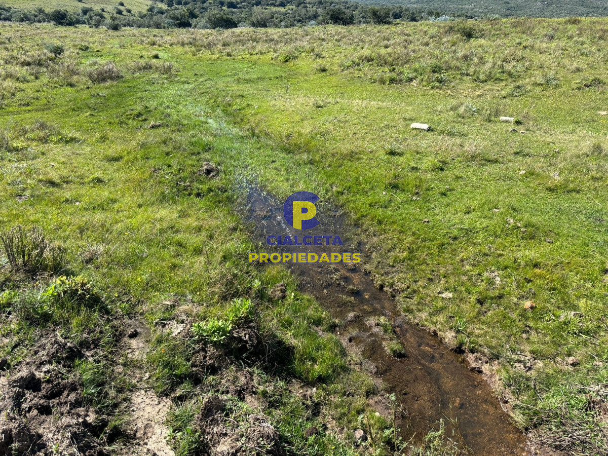 Chacra ID.423 - 5 hectáreas para 38.000 dólares, se financia