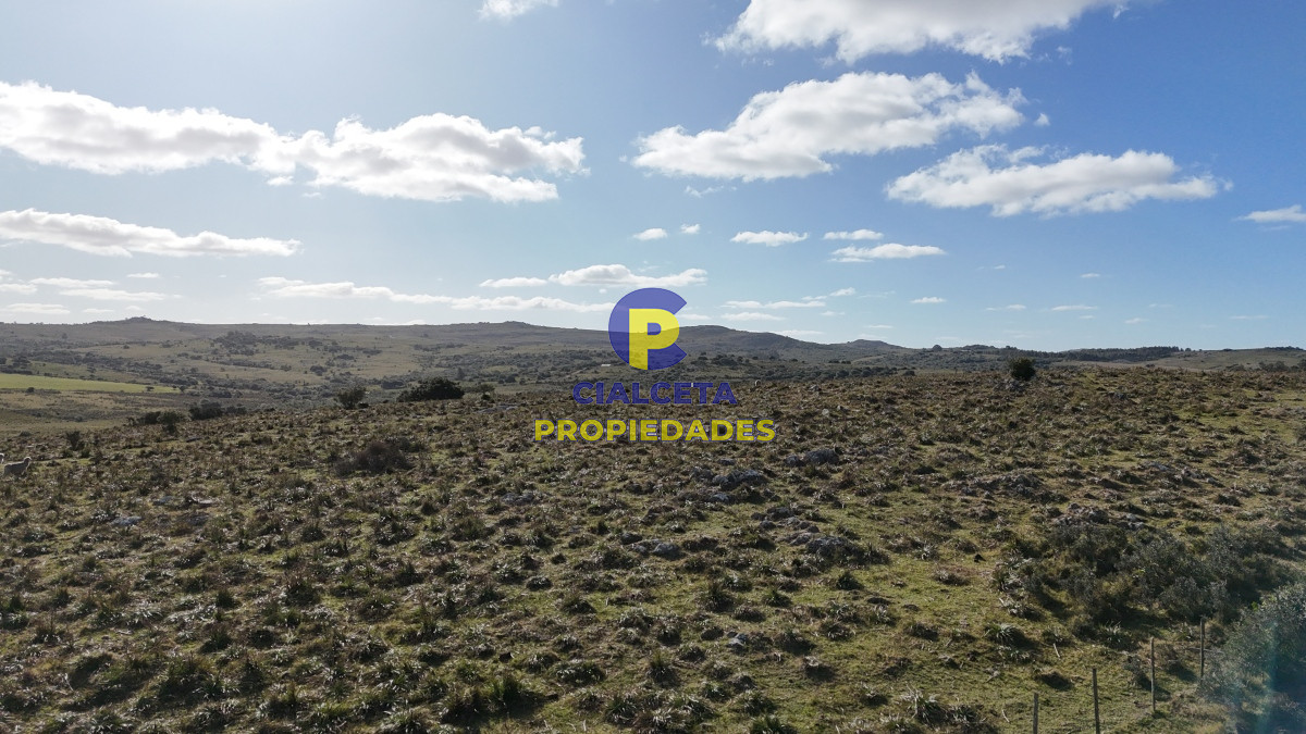 Chacra ID.485 - 7 hectáreas con cañada a 20 km de San Carlos