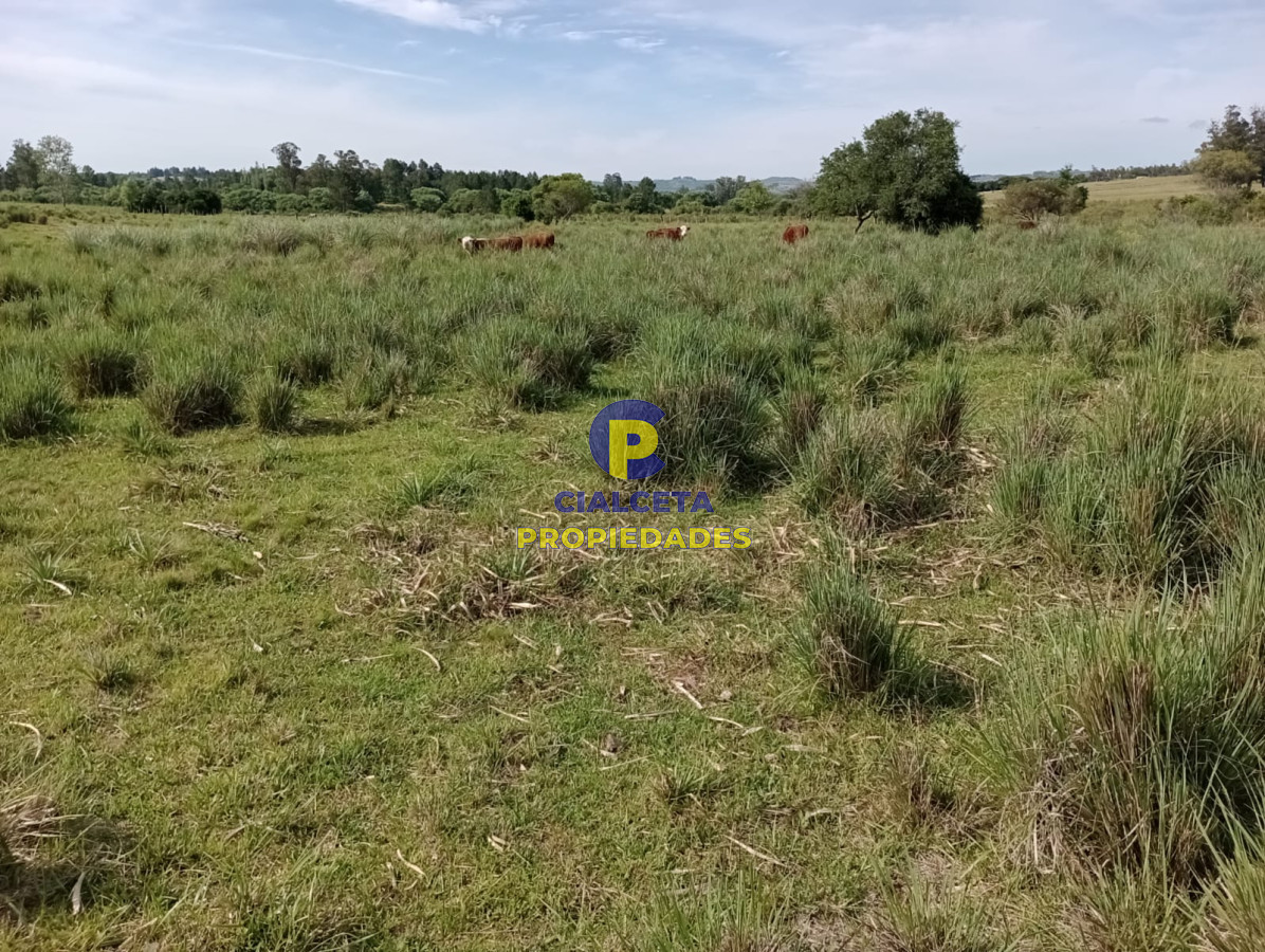 Chacra ID.438 - 5 hectáreas en Pueblo Edén, con casa nueva