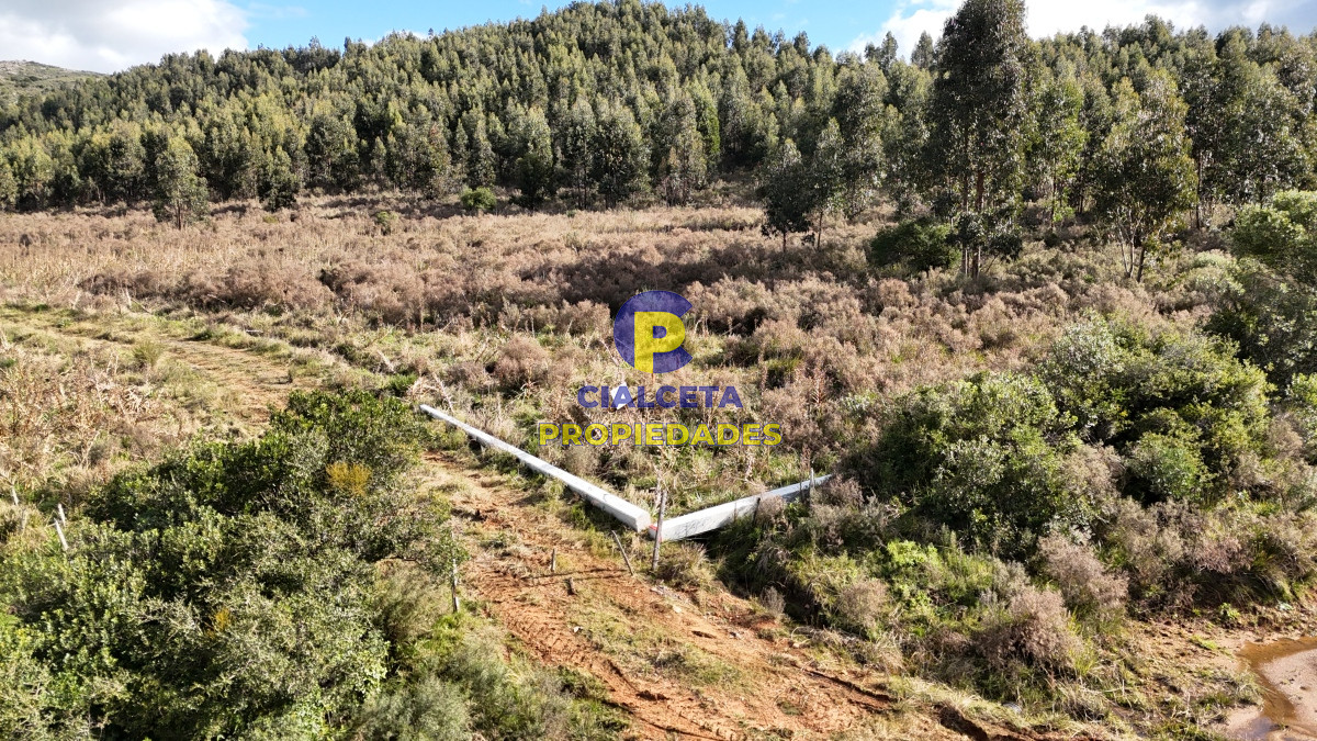 Chacra ID.458 - 5 hectáreas con entrega de 8 mil dólares se financia