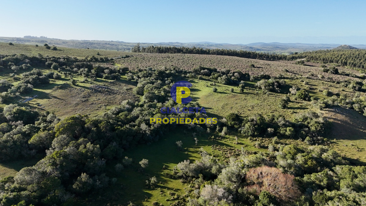 Chacra ID.455 - 5 hectáreas en Zanja del Tigre