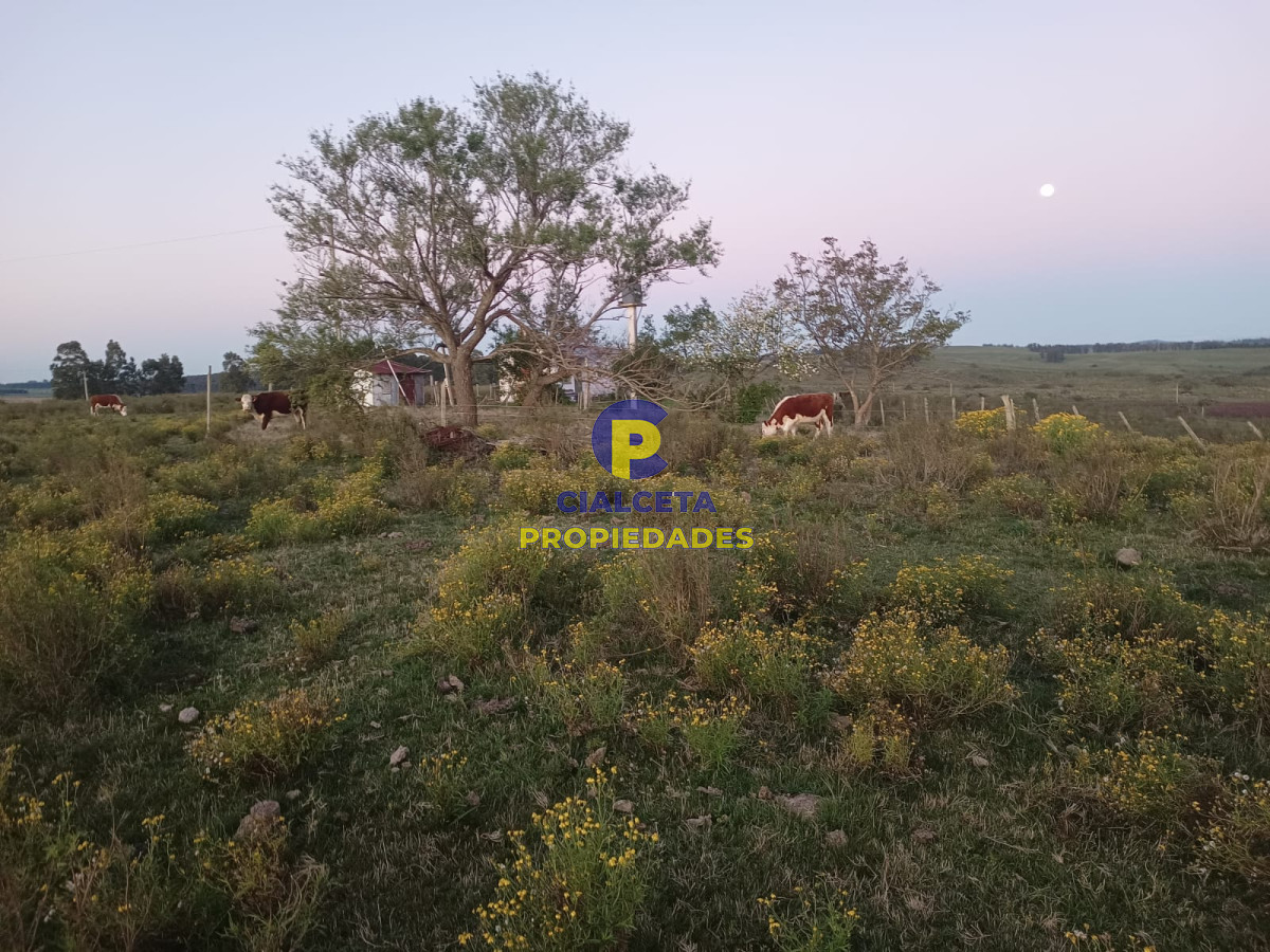 Chacra ID.547 - 10 hectáreas con casa y arroyo