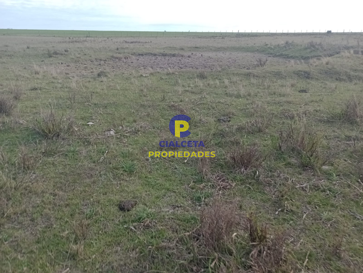 Chacra ID.233 - 5 hectáreas sobre camino, oportunidad !!!