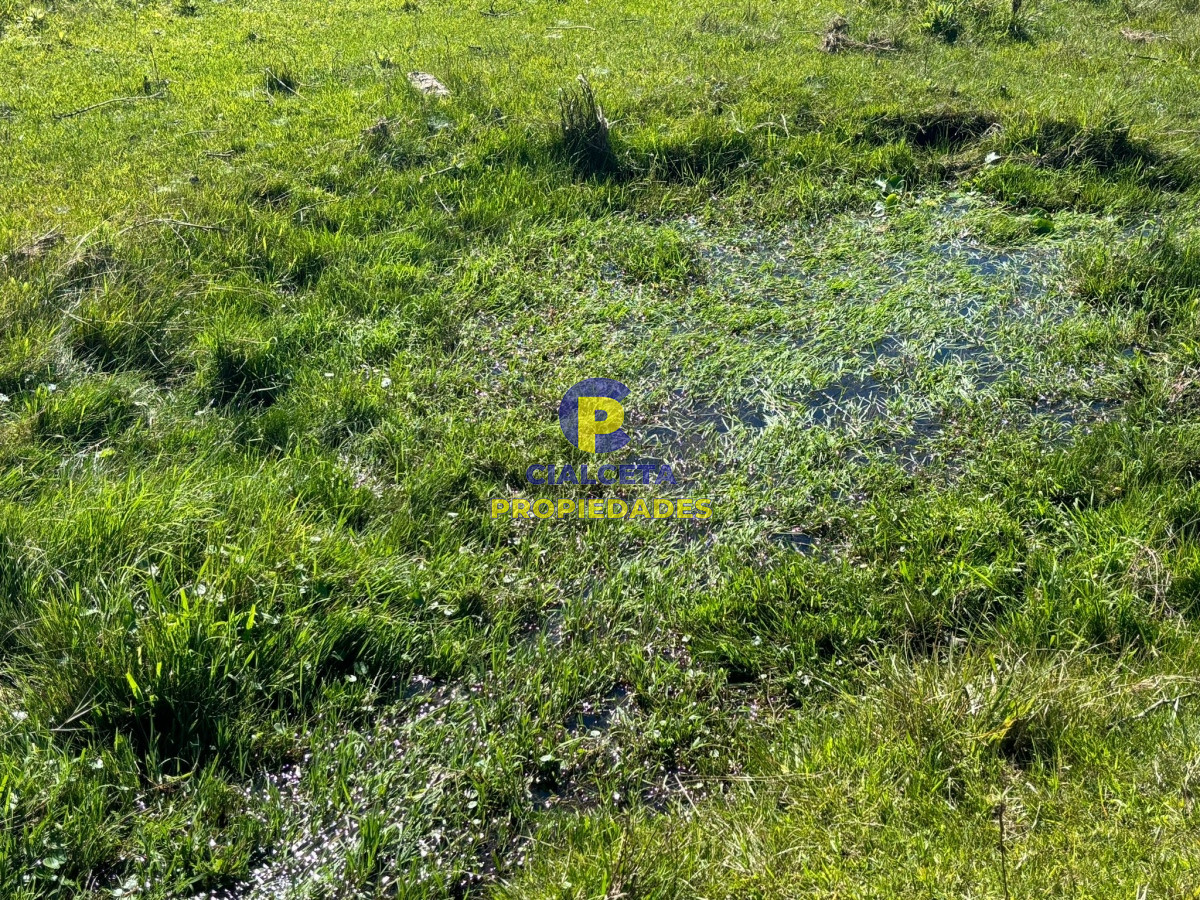 Chacra ID.423 - 5 hectáreas para 38.000 dólares, se financia