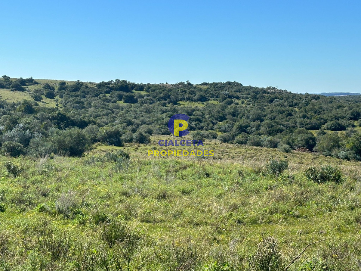 Chacra ID.423 - 5 hectáreas para 38.000 dólares, se financia