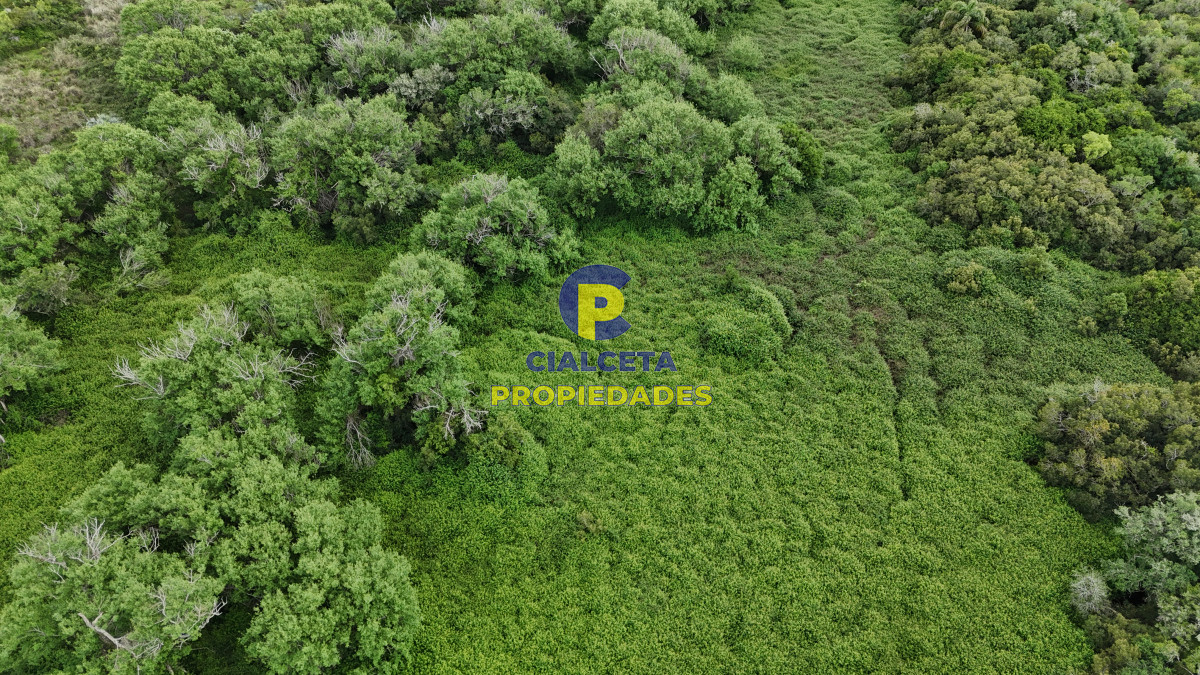 Chacra ID.560 - 4 hectáreas con 6.600 metros con monte y arroyo