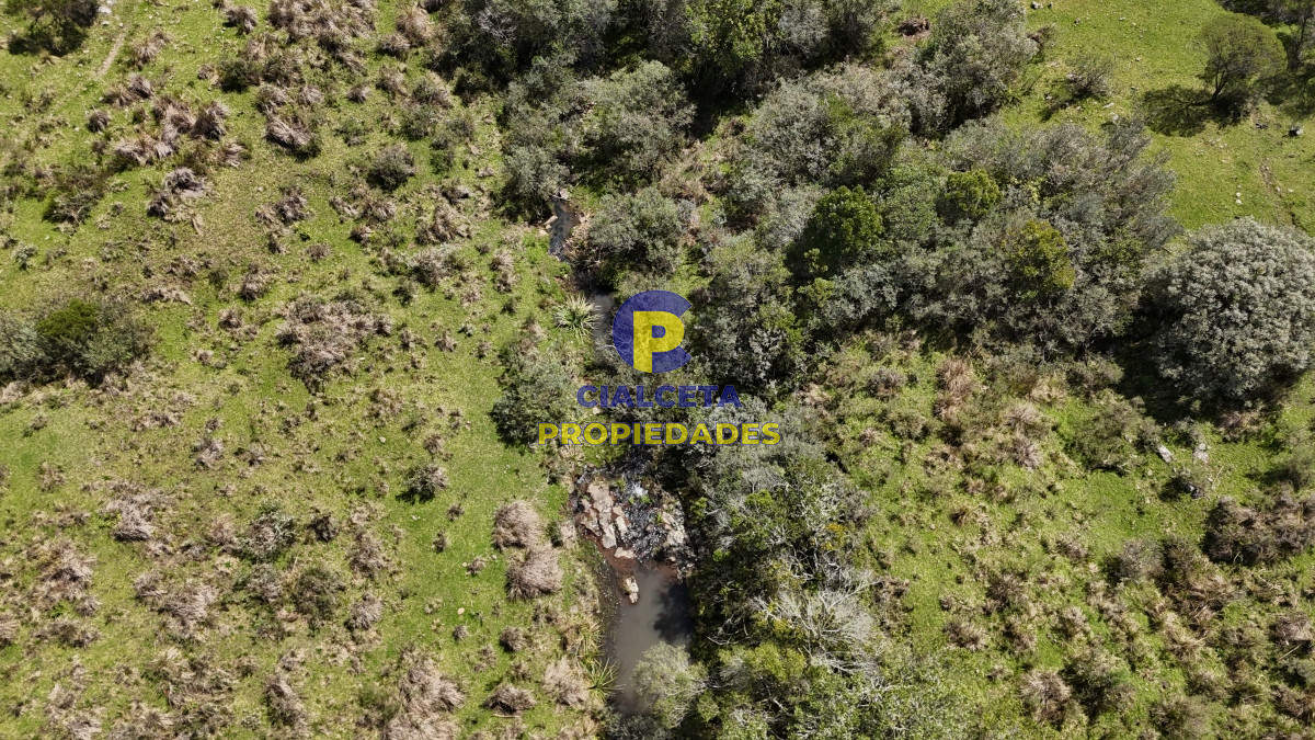 Chacra ID.535 - 3 hectáreas a 25 km de San Carlos, se financian