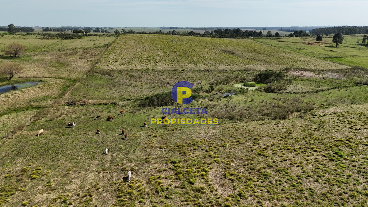 Chacra ID.527 - 3 hectáreas en Migues con aguada y linda vista