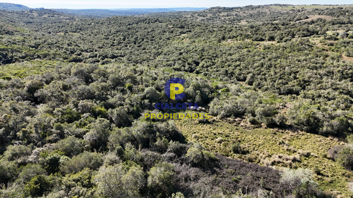 Chacra ID.471 - 5 hectáreas, entrega 19.800 y saldo en 60 cuotas