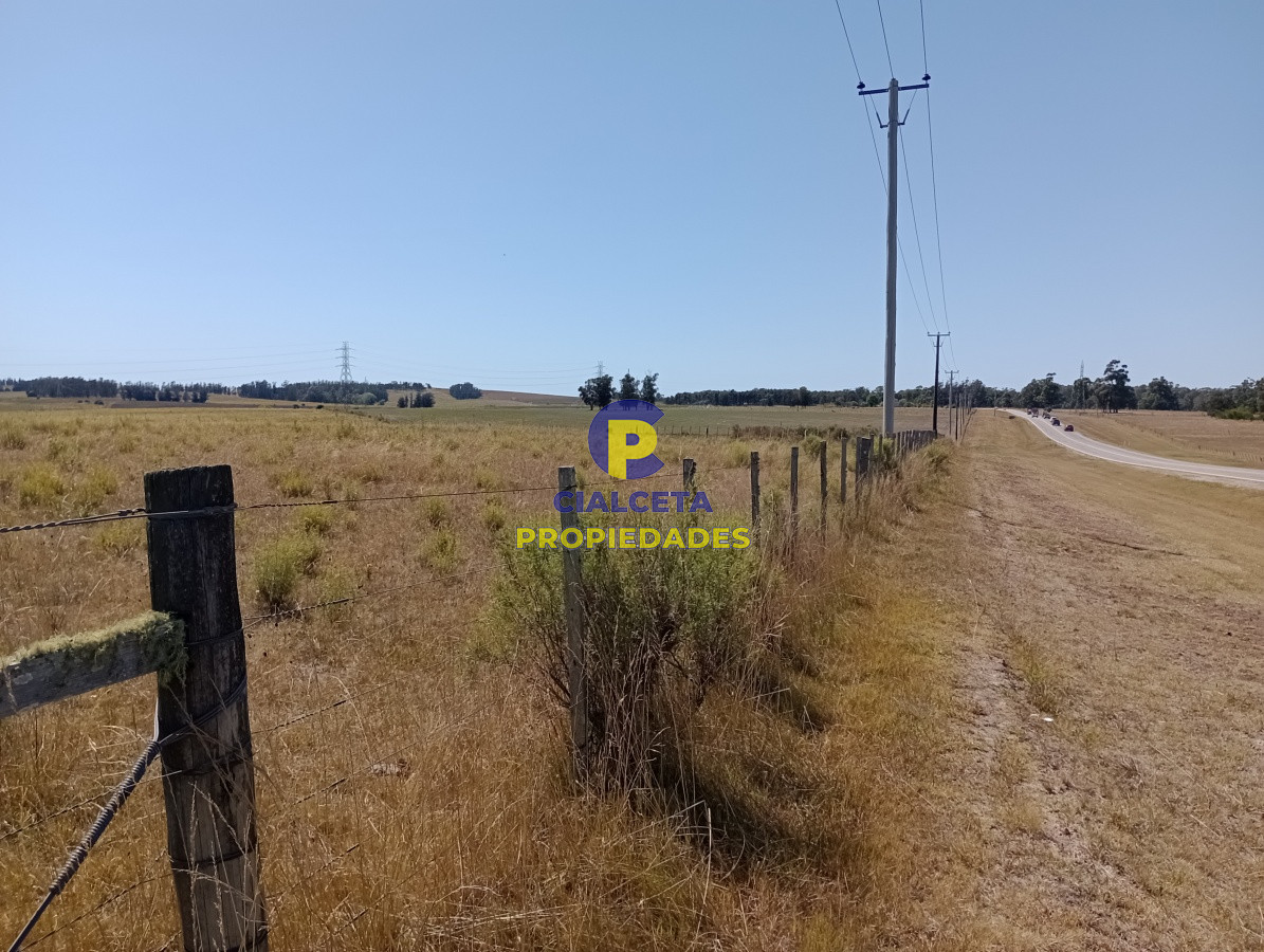 Chacra ID.117 - 5 hectáreas en ruta 104