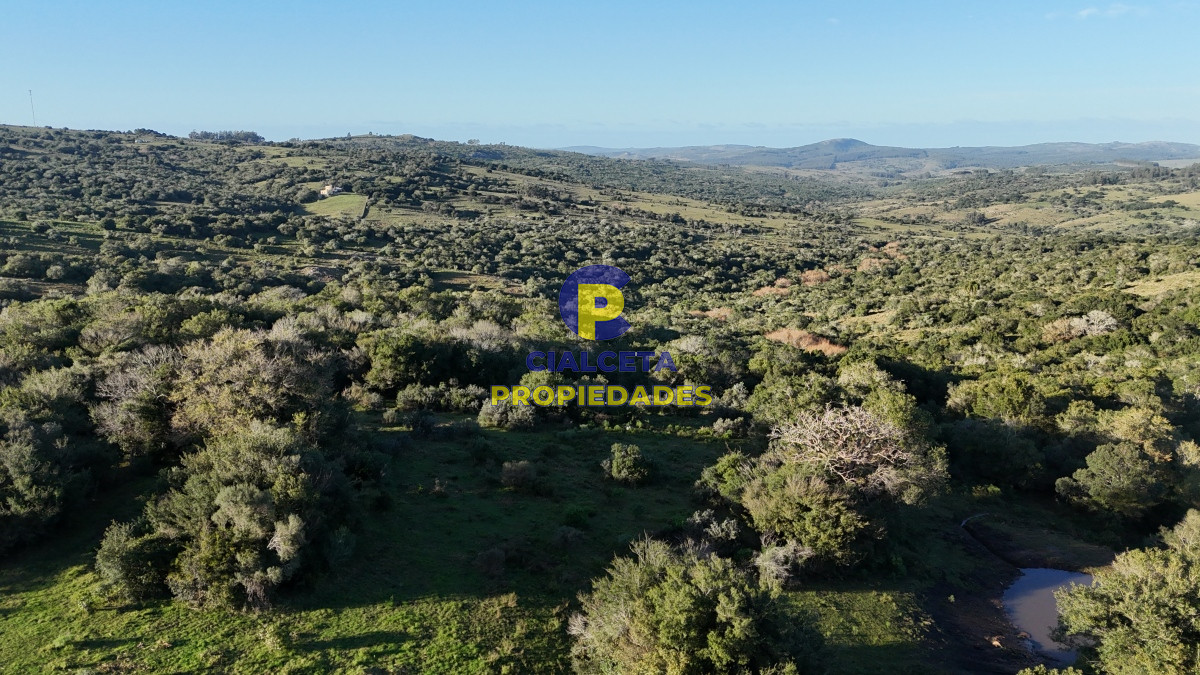 Chacra ID.456 - 4  hectáreas con monte nativo en Maldonado