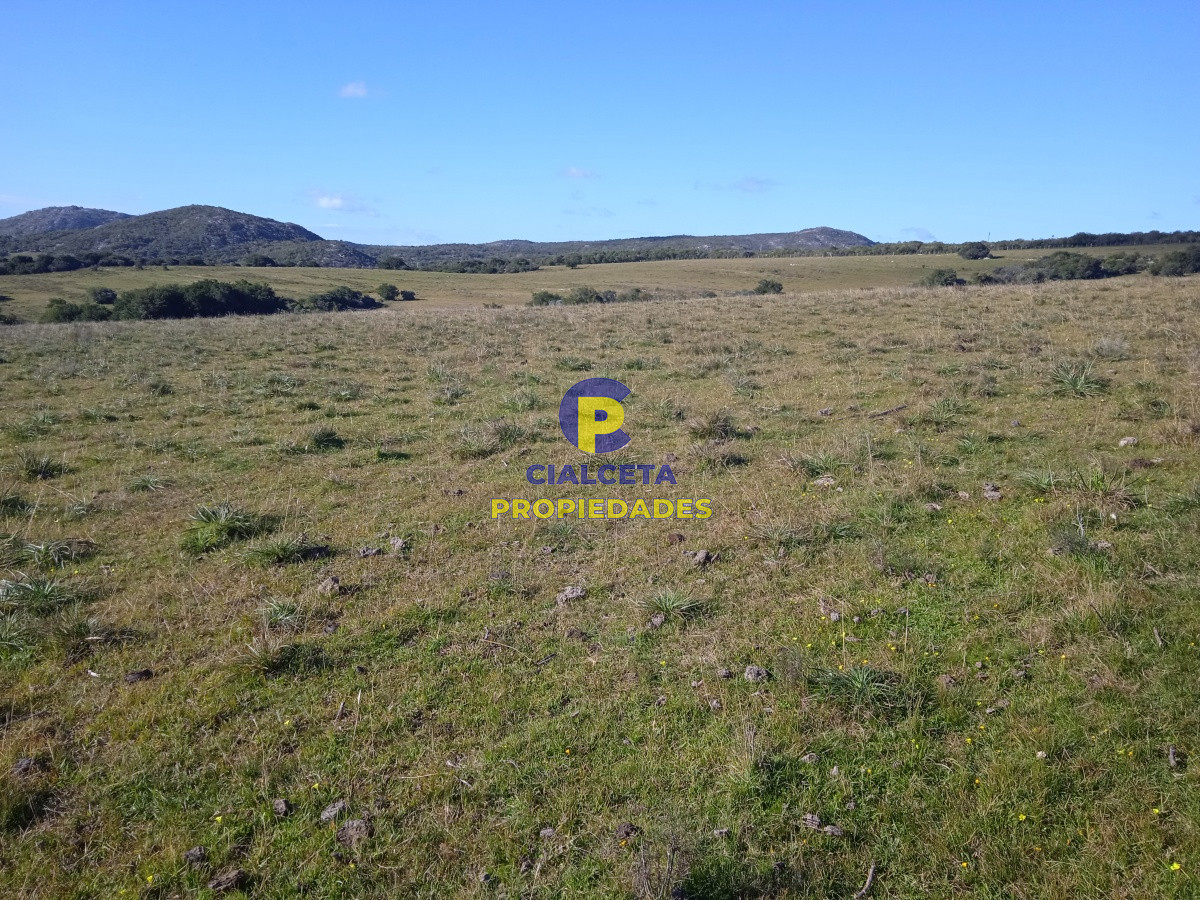 Chacra ID.44 - 5 hectáreas en ruta 39