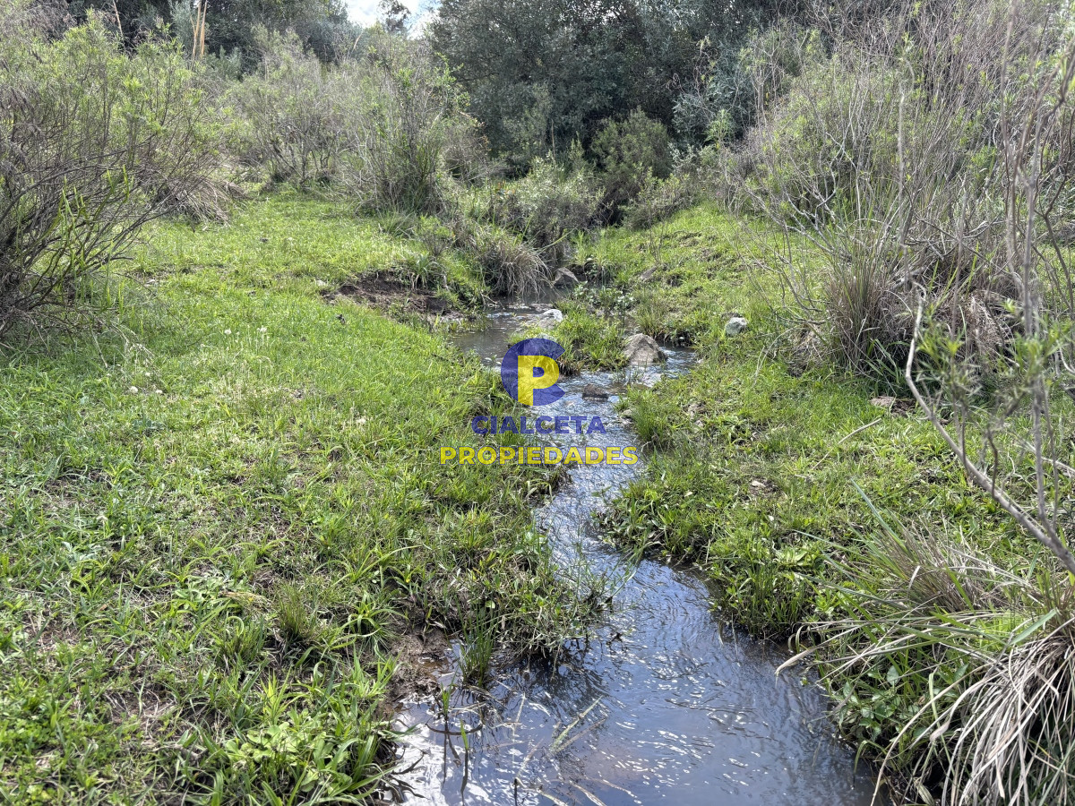 Chacra ID.535 - 3 hectáreas a 25 km de San Carlos, se financian