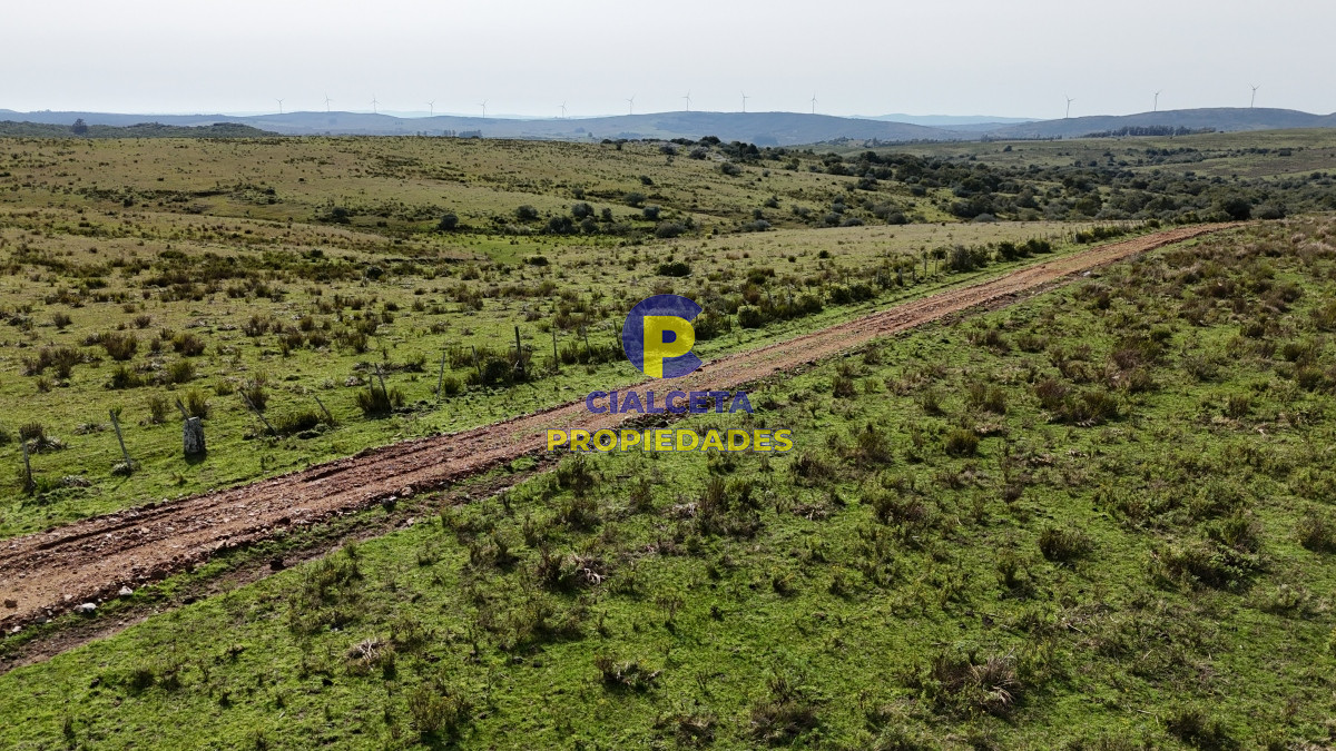 Chacra ID.519 - chacra de 3 hectáreas en maldonado, entrega de 14.600 y cuotas
