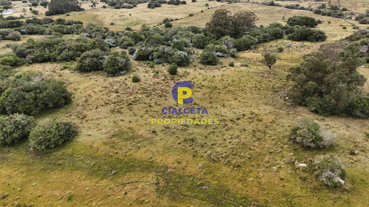Chacra ID.479 - 14 hectáreas y media con población y arroyito en el fondo
