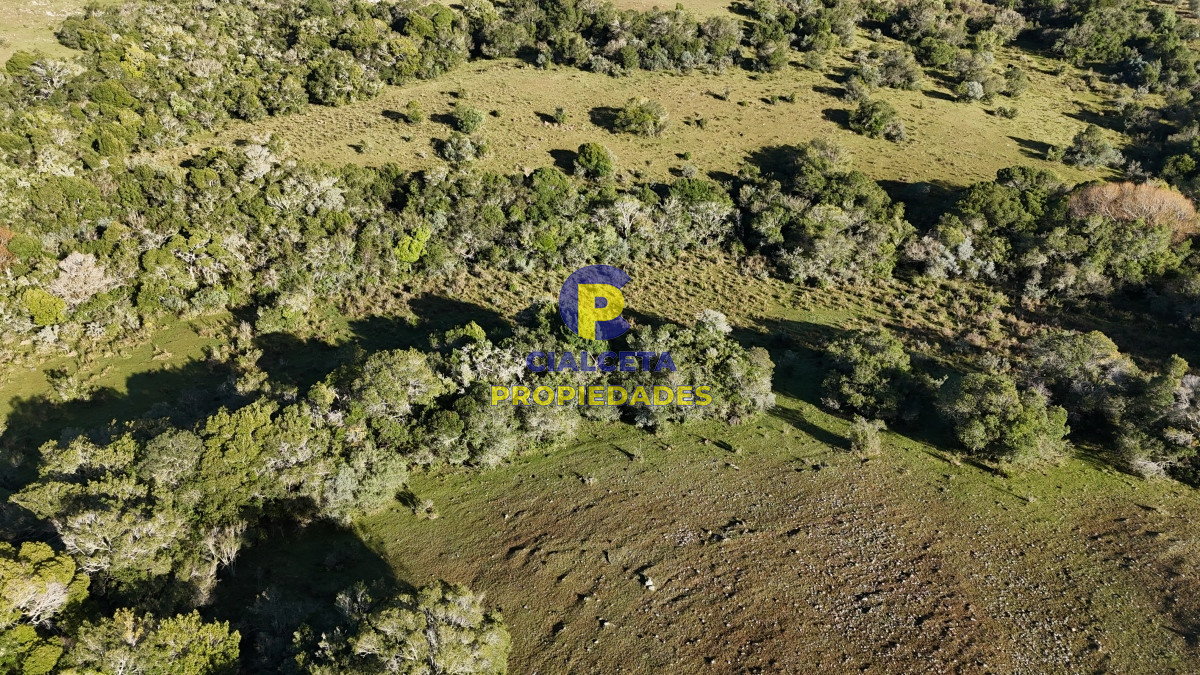 Chacra ID.455 - 5 hectáreas en Zanja del Tigre