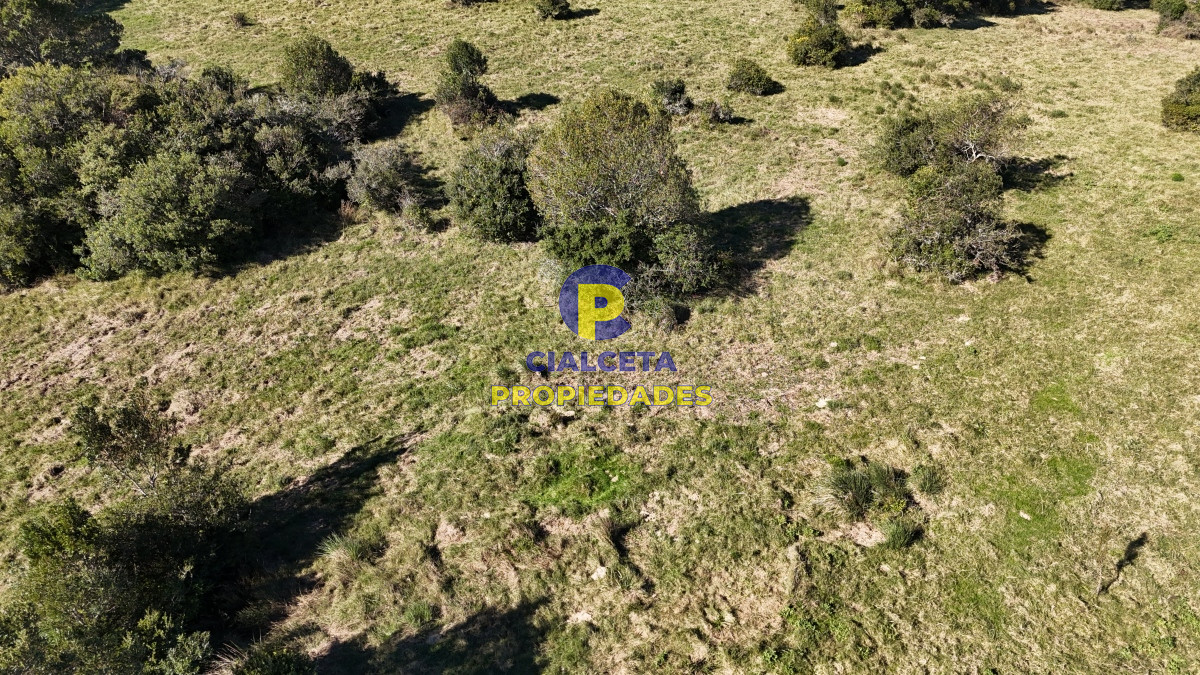 Chacra ID.471 - 5 hectáreas, entrega 19.800 y saldo en 60 cuotas