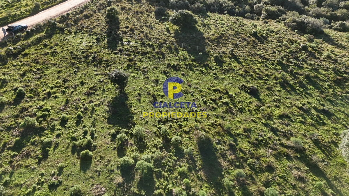 Chacra ID.456 - 4  hectáreas con monte nativo en Maldonado